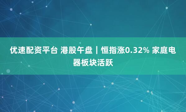 优速配资平台 港股午盘｜恒指涨0.32% 家庭电器板块活跃