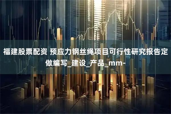福建股票配资 预应力钢丝绳项目可行性研究报告定做编写_建设_产品_mm-
