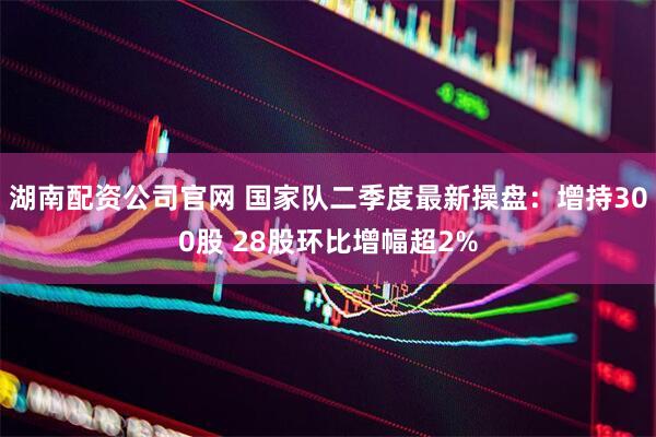 湖南配资公司官网 国家队二季度最新操盘：增持300股 28股环比增幅超2%